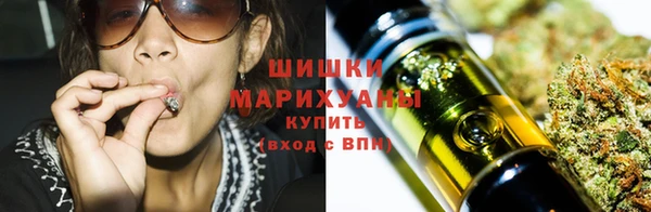 ешки Арсеньев