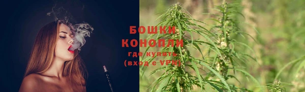 трава Баксан
