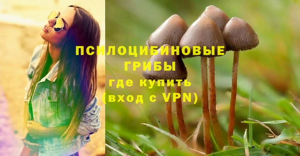 ешки Арсеньев