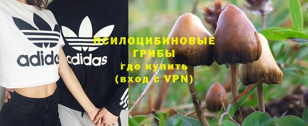 трава Баксан