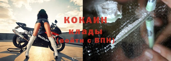 стафф Аркадак