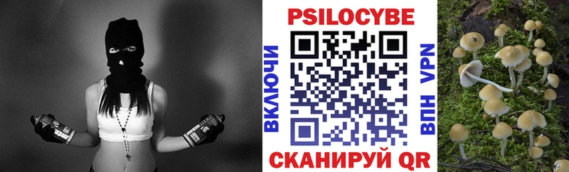 Псилоцибиновые грибы GOLDEN TEACHER  Балабаново 